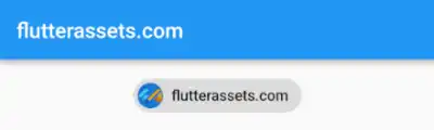 flutter inputchip avatar asset image
